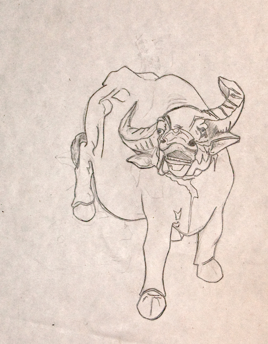bull-sketch.jpg